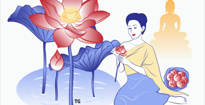 thai lotus flowers